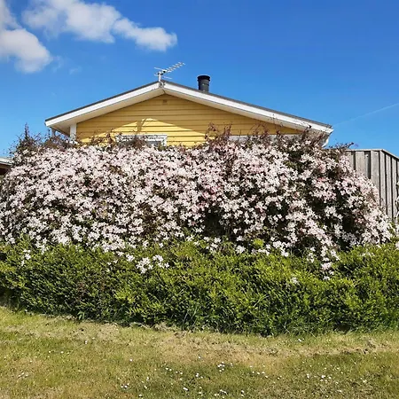 Cozy Yellow With Sea View * Slagelse